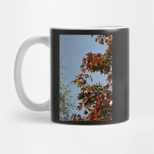 Autumnal Mug